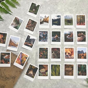 25 Moody Fall Forest themed polaroid style stickers on a light gray background with green fern leaves. On the bottom left corner there is a cello bag where the photos get packaged in.