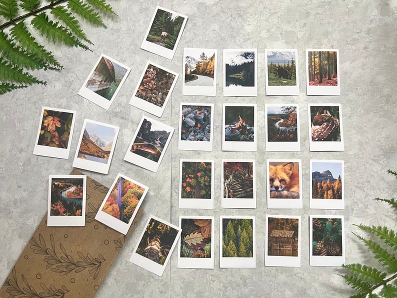 25 Moody Fall Forest themed polaroid style stickers on a light gray background with green fern leaves. On the bottom left corner there is a cello bag where the photos get packaged in.