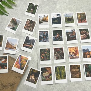 A slight slanted angle of 25 Moody Fall Forest themed polaroid style stickers on a light gray background with green fern leaves. On the bottom left corner there is a cello bag with a brown background where the photos get packed in to ship.