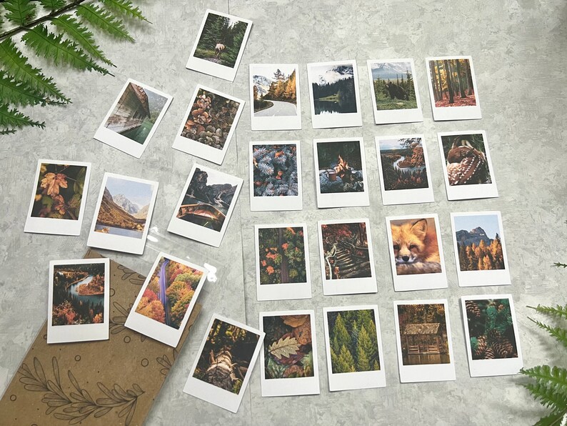 A slight slanted angle of 25 Moody Fall Forest themed polaroid style stickers on a light gray background with green fern leaves. On the bottom left corner there is a cello bag with a brown background where the photos get packed in to ship.
