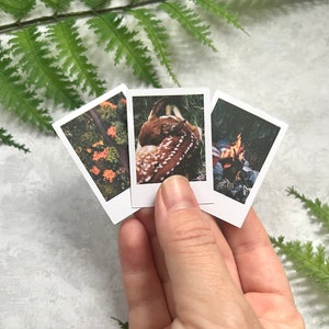 3  Moody Fall Forest themed polaroid style stickers held by a right hand. The background is light gray with green fern leaves.