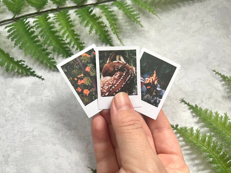 3  Moody Fall Forest themed polaroid style stickers held by a right hand. The background is light gray with green fern leaves.