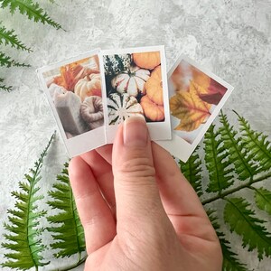 3 Cozy Fall themed polaroid style stickers held by a right hand. The background is light gray with green fern leaves.