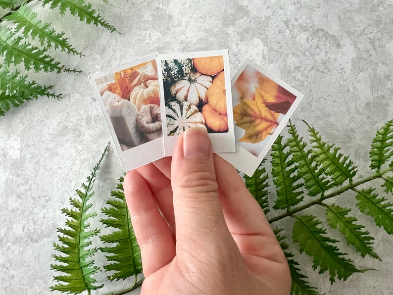 3 Cozy Fall themed polaroid style stickers held by a right hand. The background is light gray with green fern leaves.