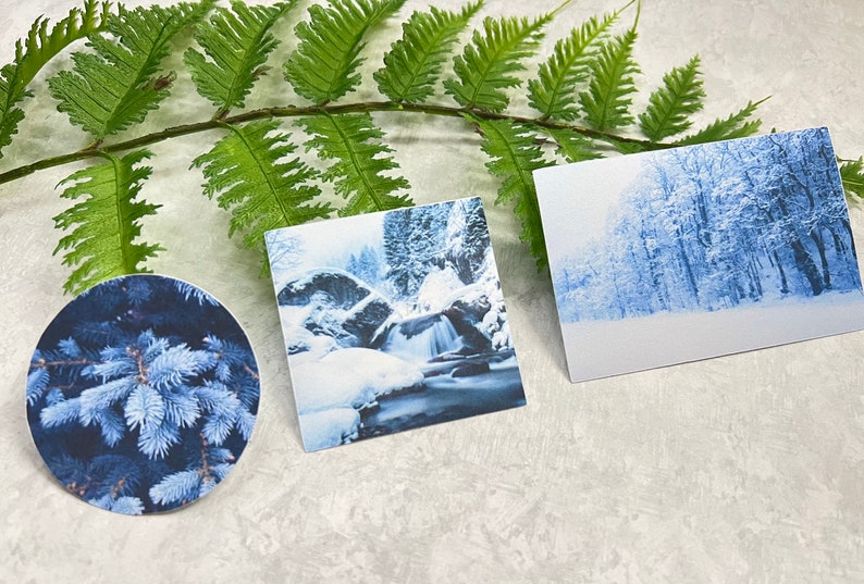 May include: Three winter-themed images featuring snowy landscapes. The first image is a close-up of a blue spruce tree branch. The second image shows a waterfall cascading through a snowy forest. The third image shows a snowy forest with tall trees.
