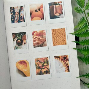 9 Cozy Fall themed polaroid style stickers on an A5 dotted journal with a green fern leaf on the right side on a light grey background.