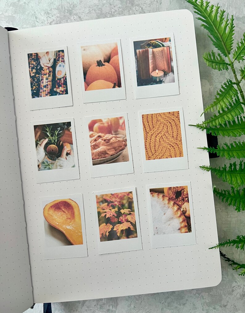 9 Cozy Fall themed polaroid style stickers on an A5 dotted journal with a green fern leaf on the right side on a light grey background.