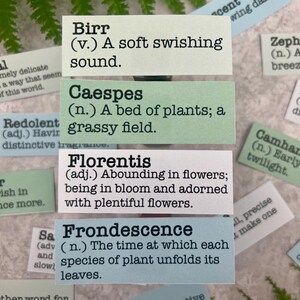 Spring Flower Inspired Twenty-Eight Random Words Definition Stickers for Journaling, Bullet Journal, Gift for Gardener, Snail Mail, Greenery Morning Dew