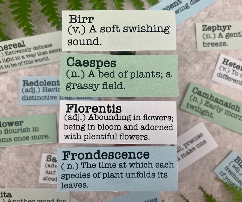 Spring Flower Inspired Twenty-Eight Random Words Definition Stickers for Journaling, Bullet Journal, Gift for Gardener, Snail Mail, Greenery Morning Dew