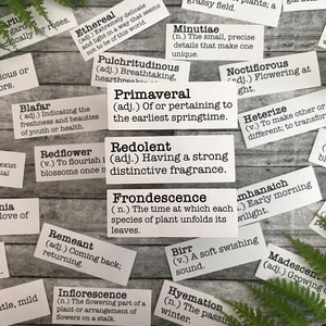 Spring inspired words with definitions in white sticker paper strips.
