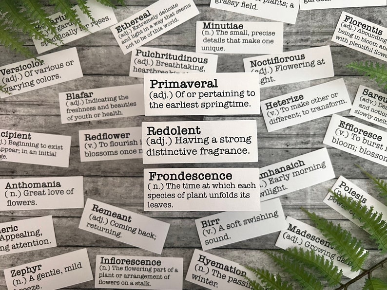 Spring inspired words with definitions in white sticker paper strips.
