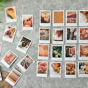 25 Cozy Fall themed polaroid style stickers on a light gray background with green fern leaves. On the bottom left corner there is a cello bag where the photos get packaged in.