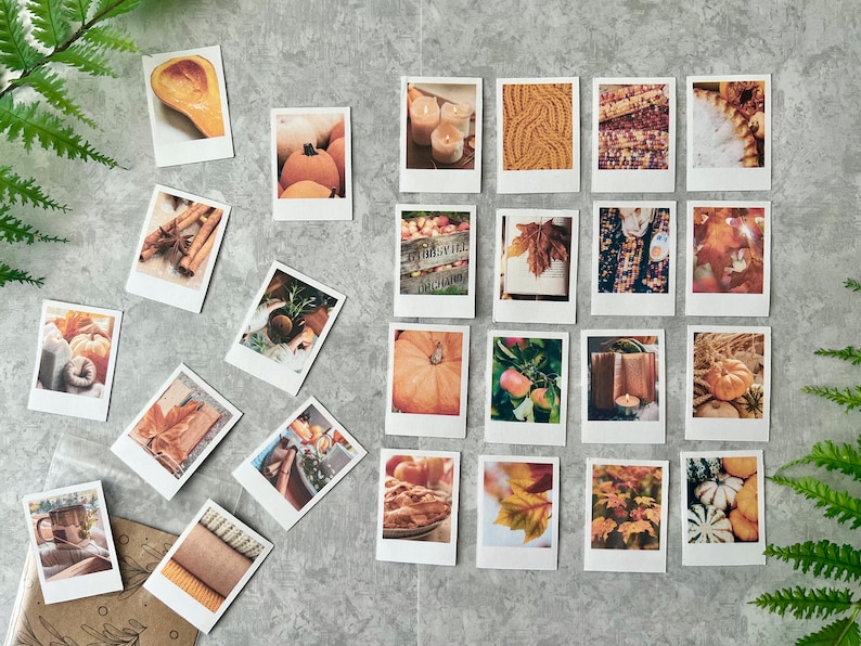 25 Cozy Fall themed polaroid style stickers on a light gray background with green fern leaves. On the bottom left corner there is a cello bag where the photos get packaged in.