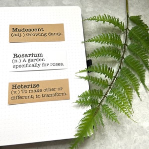 Spring inspired words with definitions in white and Kraft brown sticker paper strips on an A5 dotted journal.