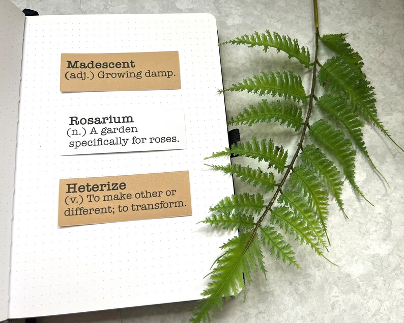 Spring inspired words with definitions in white and Kraft brown sticker paper strips on an A5 dotted journal.