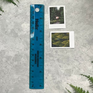 2 Moody Fall Forest themed polaroid style stickers next to a six inch blue ruler to show they are Width: 1.40 inches by Height: 1.75 inches. Pictures and ruler are on a light gray background with green fern leaves.