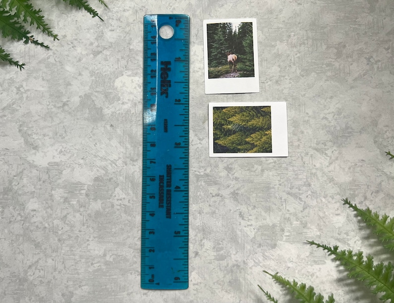 2 Moody Fall Forest themed polaroid style stickers next to a six inch blue ruler to show they are Width: 1.40 inches by Height: 1.75 inches. Pictures and ruler are on a light gray background with green fern leaves.