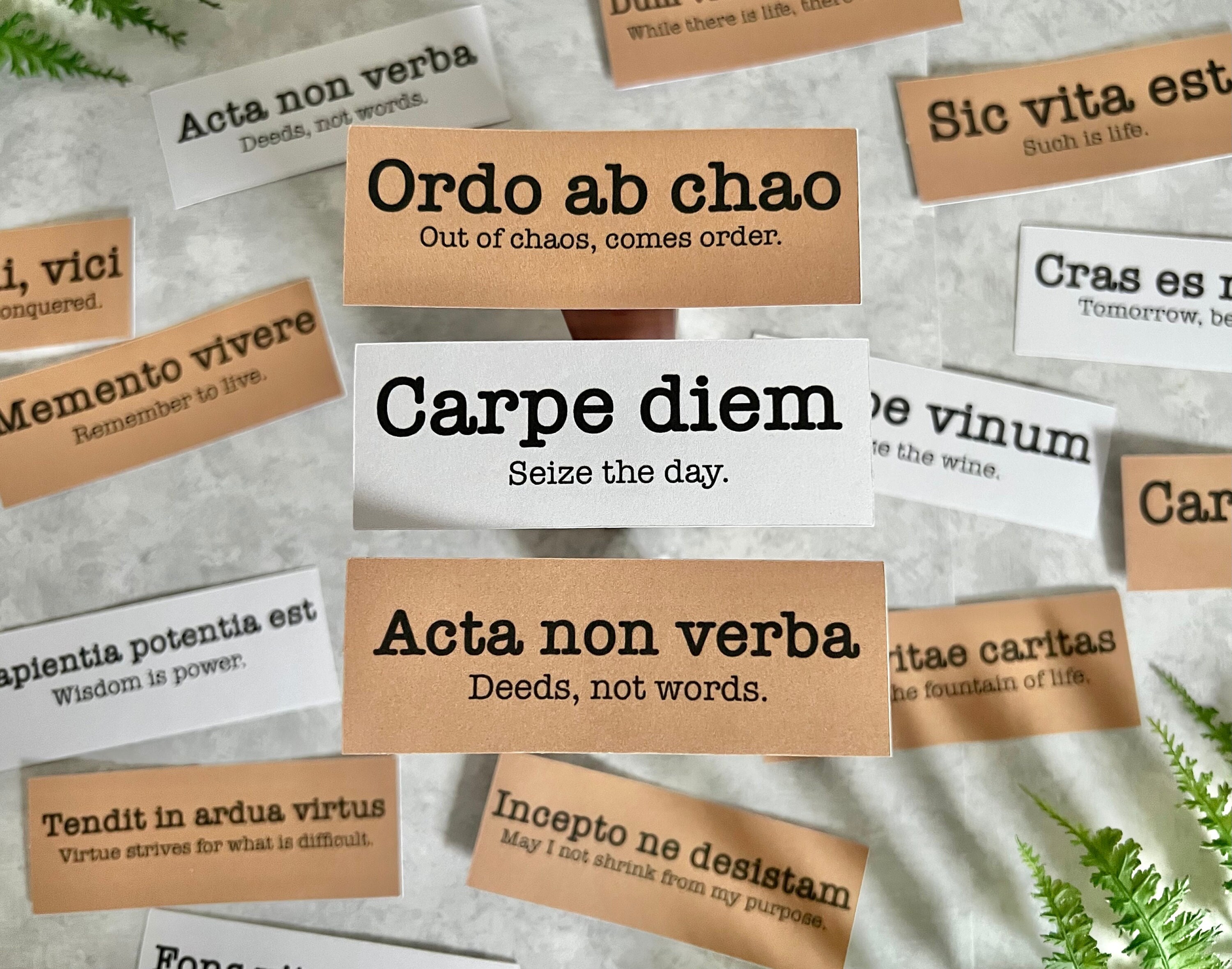 Frasi latine divertenti Italia