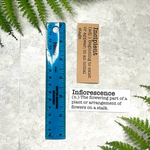 Spring inspired words with definitions in white and Kraft brown sticker paper strips next to a blue ruler to show they measure 1.20 in. (H) X 3.25 in. (W).