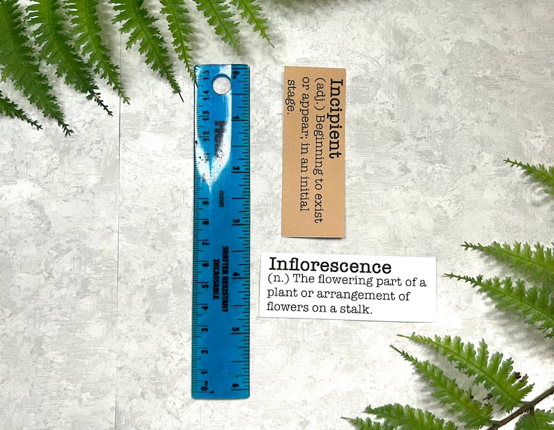 Spring inspired words with definitions in white and Kraft brown sticker paper strips next to a blue ruler to show they measure 1.20 in. (H) X 3.25 in. (W).