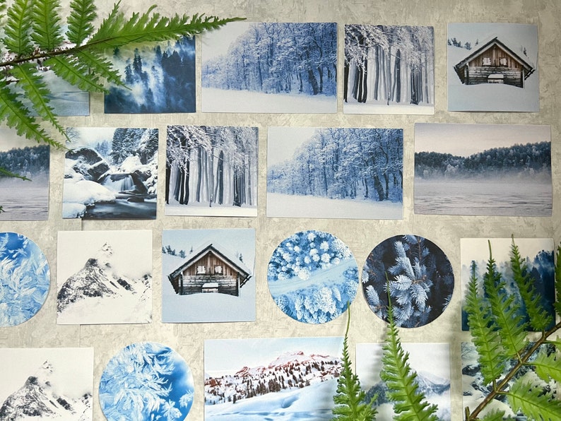 May include: A collection of wintery scenes featuring snowy forests, frozen lakes, and cozy cabins. The images are arranged on a light gray surface with a fern plant in the foreground.