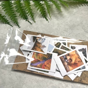 25 Moody Fall Forest themed polaroid style stickers packaged on a 3 by 5 clear cello bag with a brown sleeve. It is next to a green fern leaf on a light grey background.