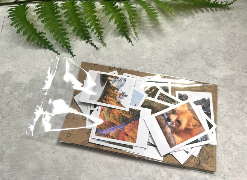 25 Moody Fall Forest themed polaroid style stickers packaged on a 3 by 5 clear cello bag with a brown sleeve. It is next to a green fern leaf on a light grey background.