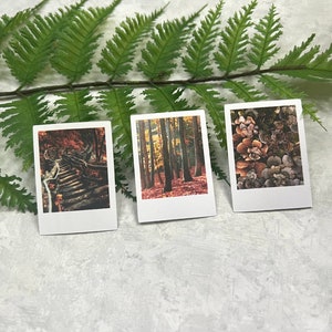 3 Moody Fall Forest themed polaroid style stickers slanted on a green fern leaf on a light gray background.