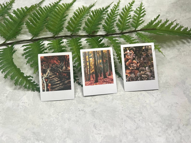 3 Moody Fall Forest themed polaroid style stickers slanted on a green fern leaf on a light gray background.