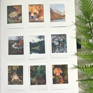 9 Moody Fall Forest themed polaroid style stickers on an A5 dotted journal with a green fern leaf on the right side on a light grey background.
