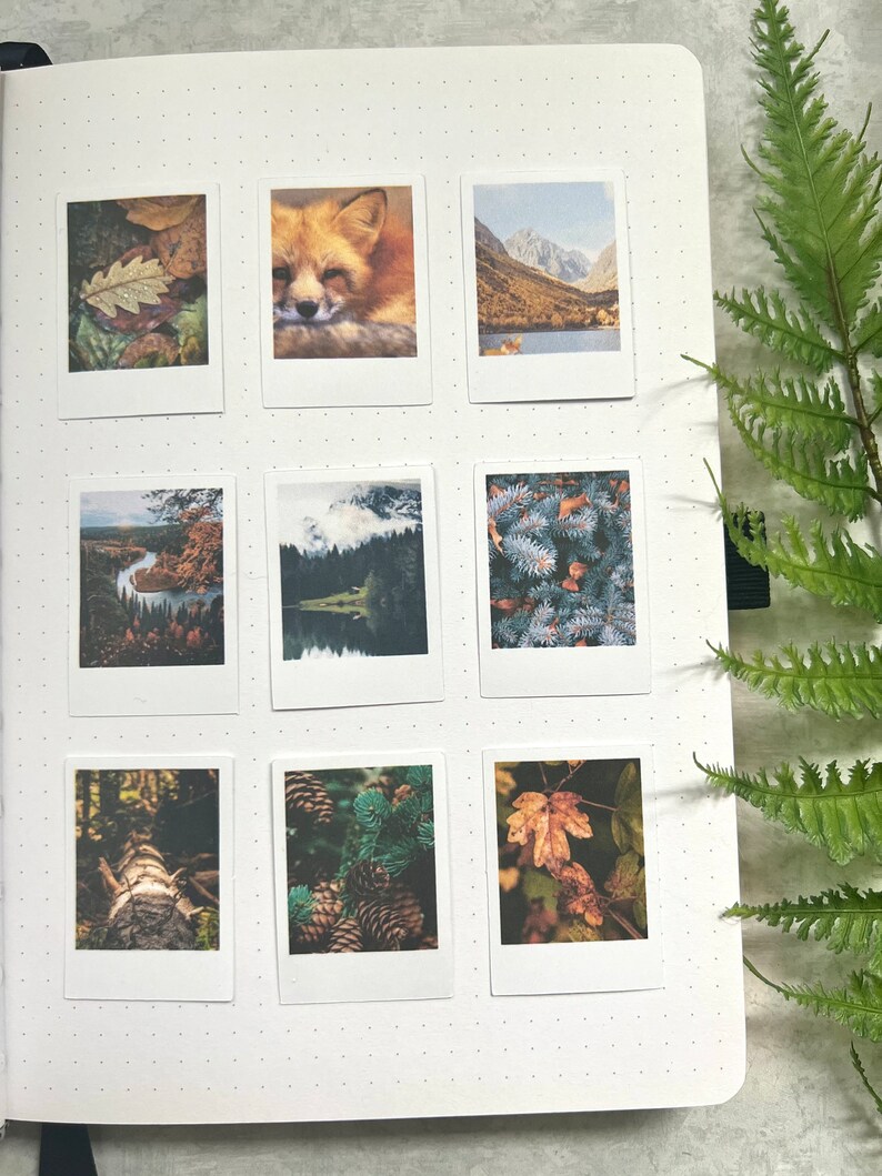 9 Moody Fall Forest themed polaroid style stickers on an A5 dotted journal with a green fern leaf on the right side on a light grey background.