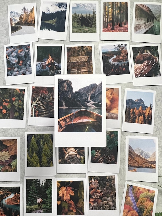 Autumn Fall Aesthetic Tree Forest Scene  Sticker Pack for Journaling, Bullet Journal, Travel Journal, Snail Mail, Junk Journal, Fall Crafts