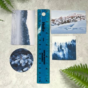 May include: Four blue and white winter-themed photographs with a blue ruler. The photographs show a snowy mountain scene, a foggy forest, a snowy lake, and a close-up of a pine tree.