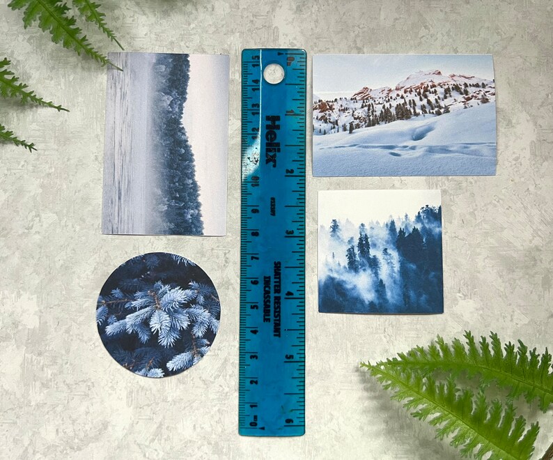 May include: Four blue and white winter-themed photographs with a blue ruler. The photographs show a snowy mountain scene, a foggy forest, a snowy lake, and a close-up of a pine tree.