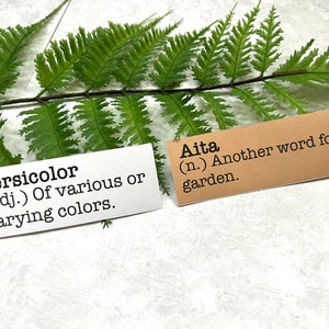 Spring inspired words with definitions in white and Kraft brown sticker paper strips slanted on a green fern leaf.
