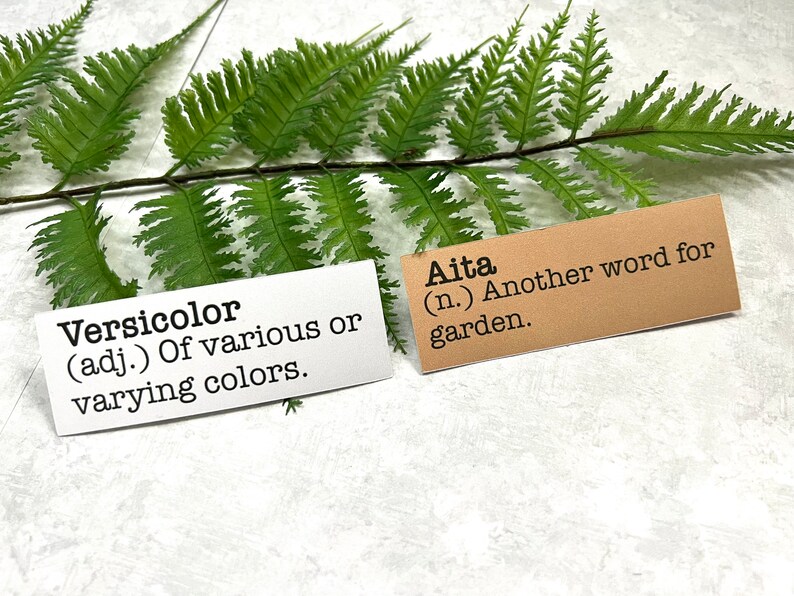 Spring inspired words with definitions in white and Kraft brown sticker paper strips slanted on a green fern leaf.