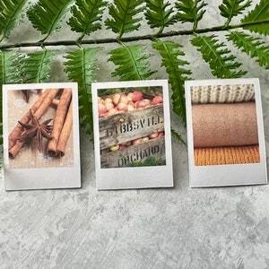 3 Cozy Fall themed polaroid style stickers slanted on a green fern leaf on a light gray background.
