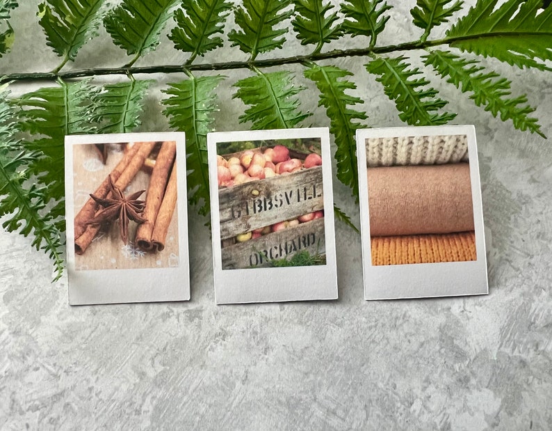 3 Cozy Fall themed polaroid style stickers slanted on a green fern leaf on a light gray background.