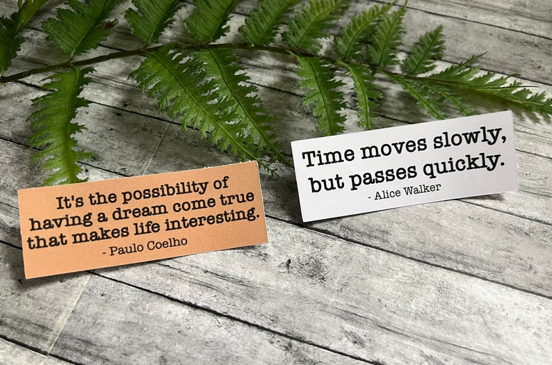 Book quotes by Alice Walker and Paulo Coelho in Kraft brown and white sticker paper strips Slanted on a green fern leaf.
