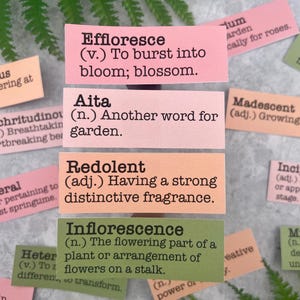 Spring Flower Inspired Twenty-Eight Random Words Definition Stickers for Journaling, Bullet Journal, Gift for Gardener, Snail Mail, Greenery Spring Bloom