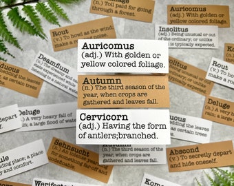 Fall Inspired Word Sticker Pack, Random Words about Autumn Forest Decals for Bullet Journaling, Nature Journal, Fall Ephemera, Snail Mail