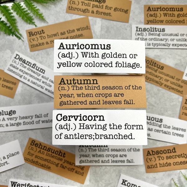 Pacchetto di adesivi con parole ispirate all'autunno, parole casuali sugli adesivi della foresta autunnale per il bullet journaling, diario naturalistico, effimeri autunnali, posta ordinaria