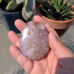 Flower Agate Palm stone