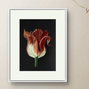 Crayons de couleur originaux rouges tulipe 20 x 10 pouces