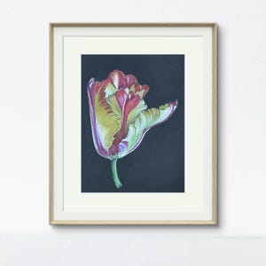 Tulipe rouge jaune Original dessin art, pas d'impression 7 x 10 pouces noir