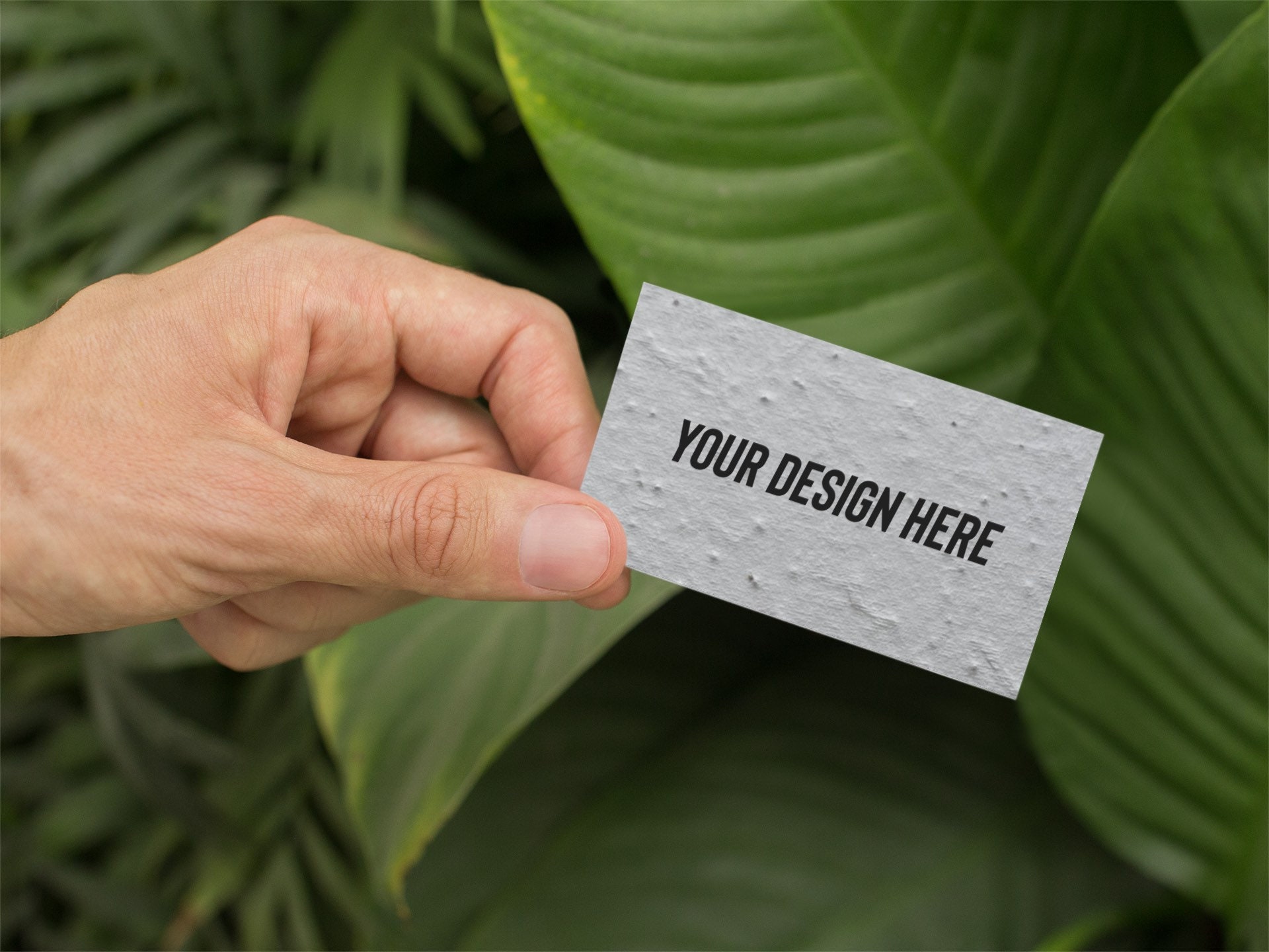 Seed Paper Business Cards 100 Plantable Paper Business Cards Etsy