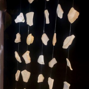 Könnte beinhalten: Ein hängendes Mobile mit zahlreichen unregelmäßig geformten, cremefarbenen Muschelscherben, die an einem Naturholzbalken befestigt sind. Die Muscheln sind an dünnen, fast unsichtbaren Schnüren aufgereiht.
