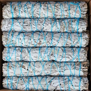 May include: Six bundles of white sage, bound with light blue twine, are presented in a cardboard box. The image provides a top-down perspective, highlighting the dried leaves and stems of the sage. The sage bundles have a natural, textured appearance.