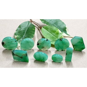 53600.0 - 9 Pieces Flat top earth mined natural Australian Chrysoprase Up to 27 mm round shapes 181.72 carats