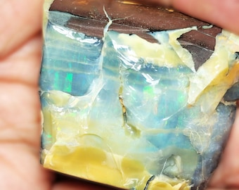 54036. Australian Boulder Opal Specimen: Jelly Pattern, Partly Polished